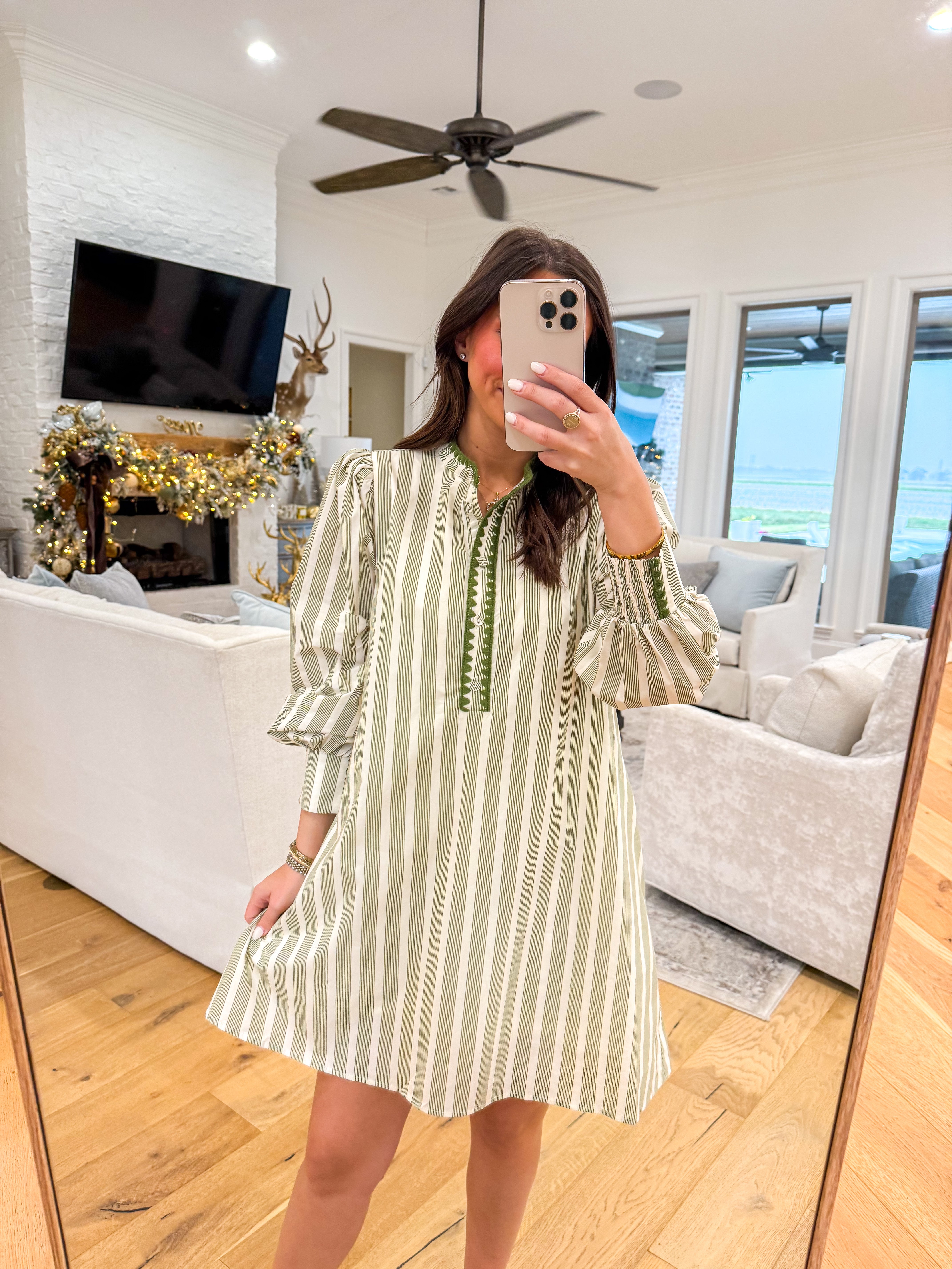 Sydney Olive Stripe Mini Dress