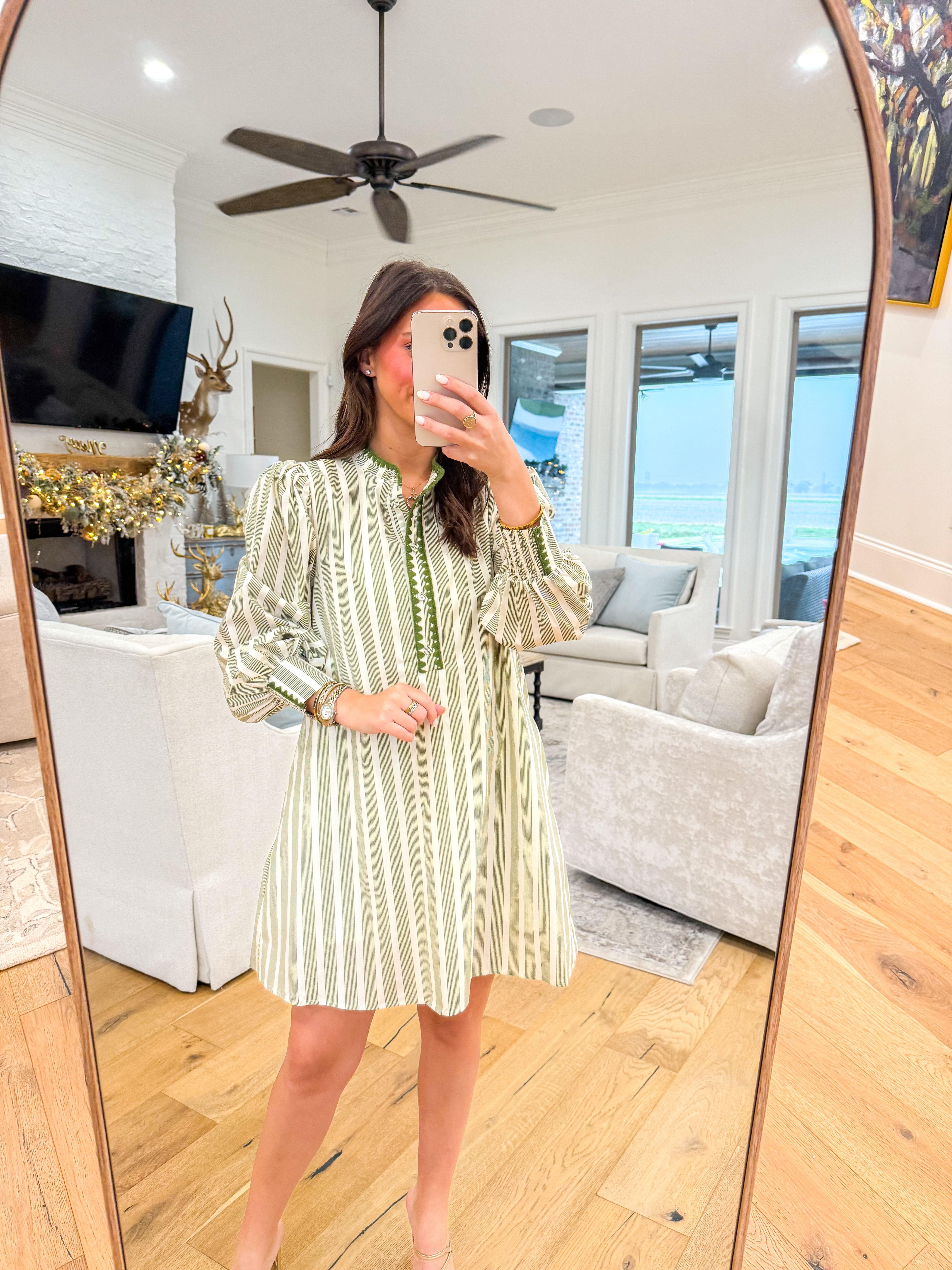 Sydney Olive Stripe Mini Dress