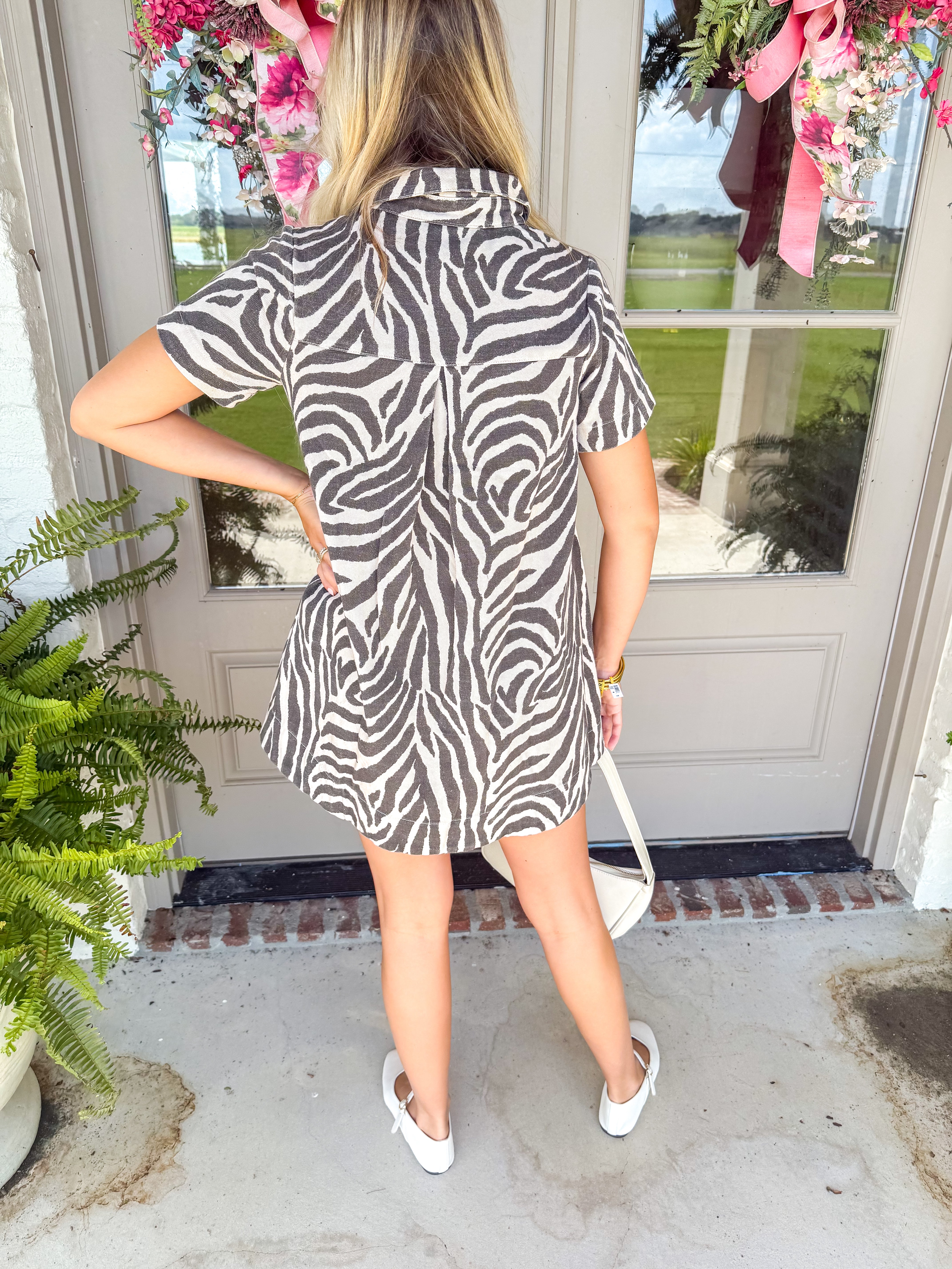 Wild Side Zebra Mini Dress