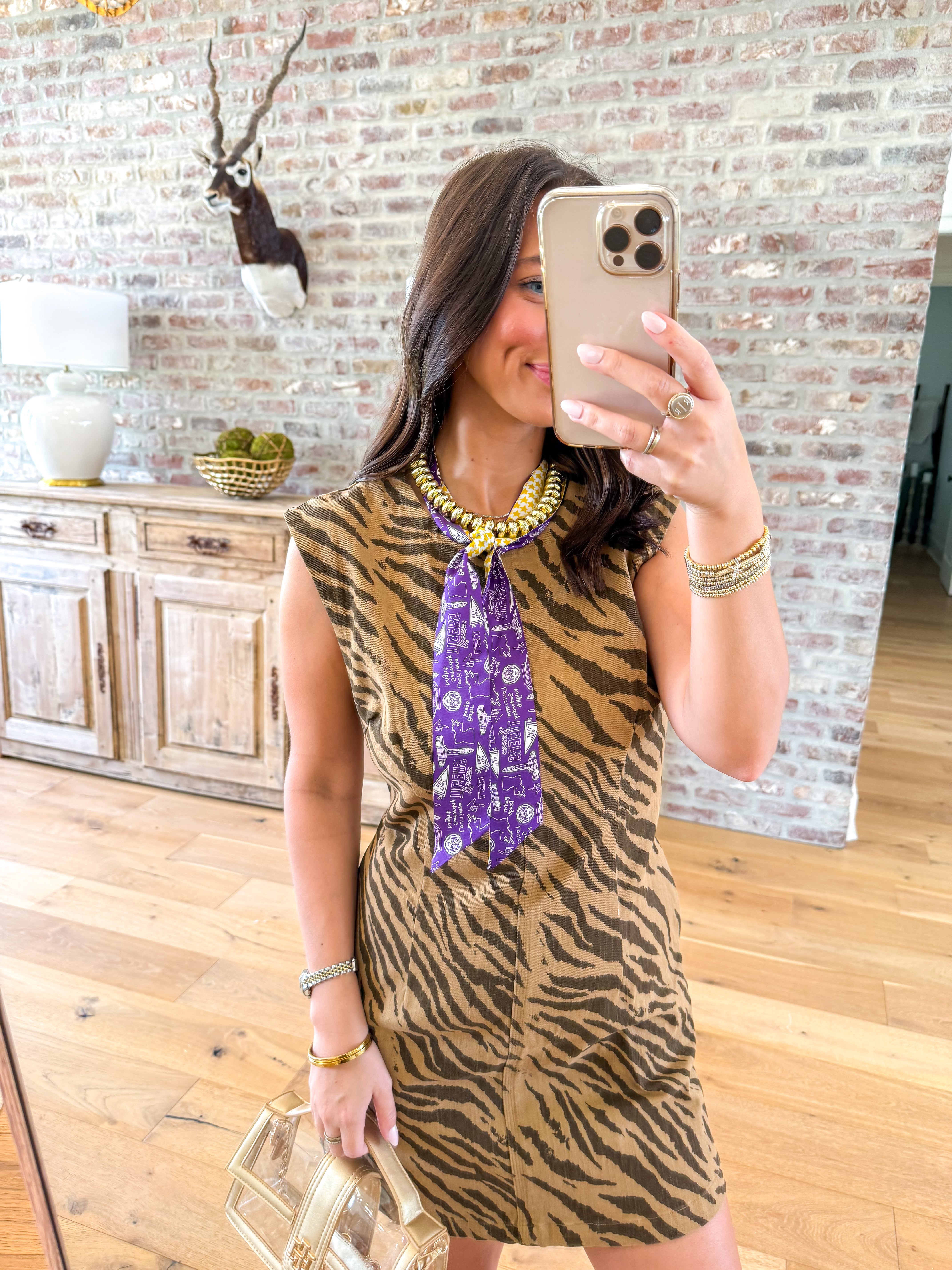 Wild Thing Zebra Mini Dress