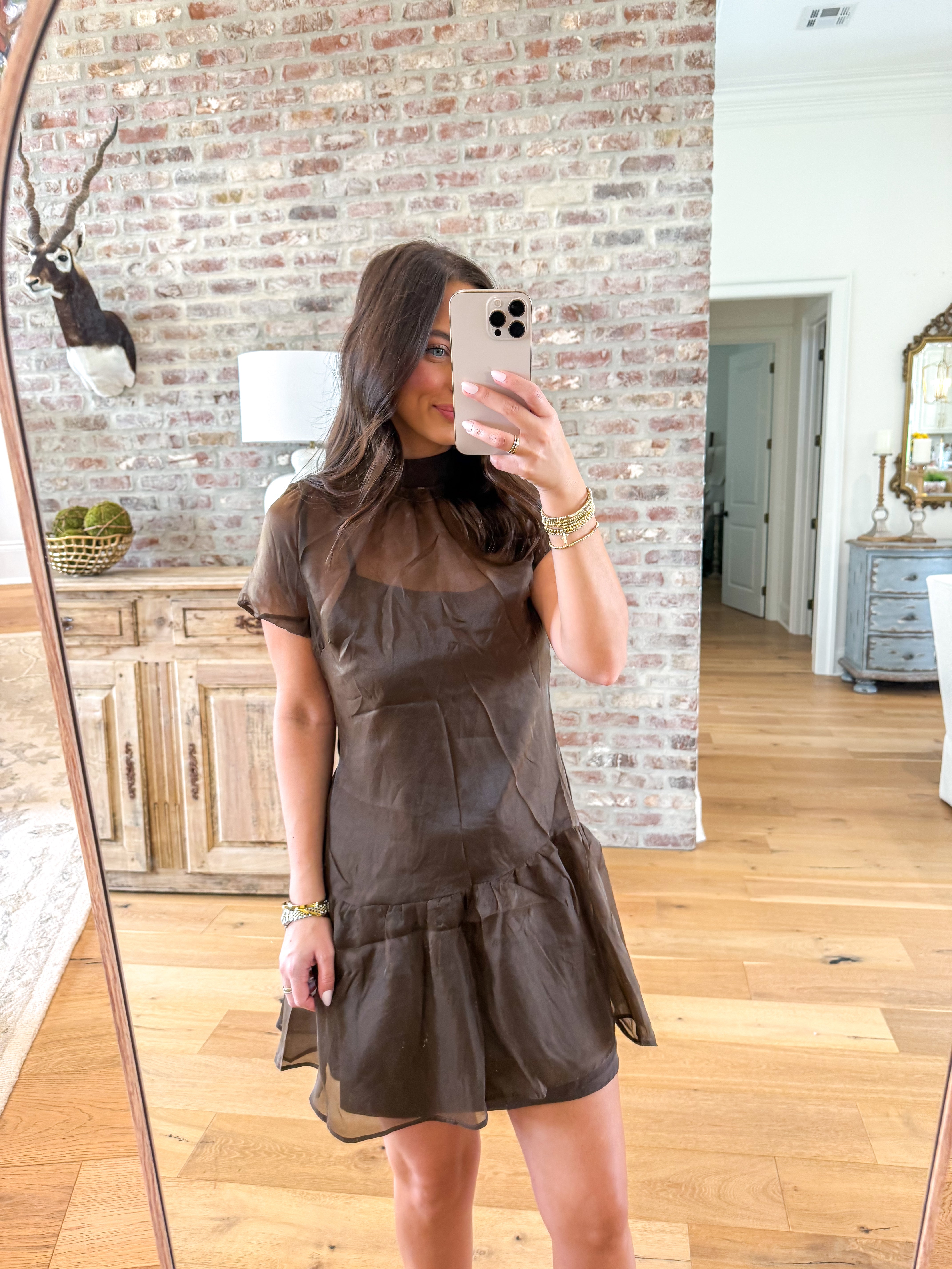 Chocolate Organza Mock Neck Mini Dress