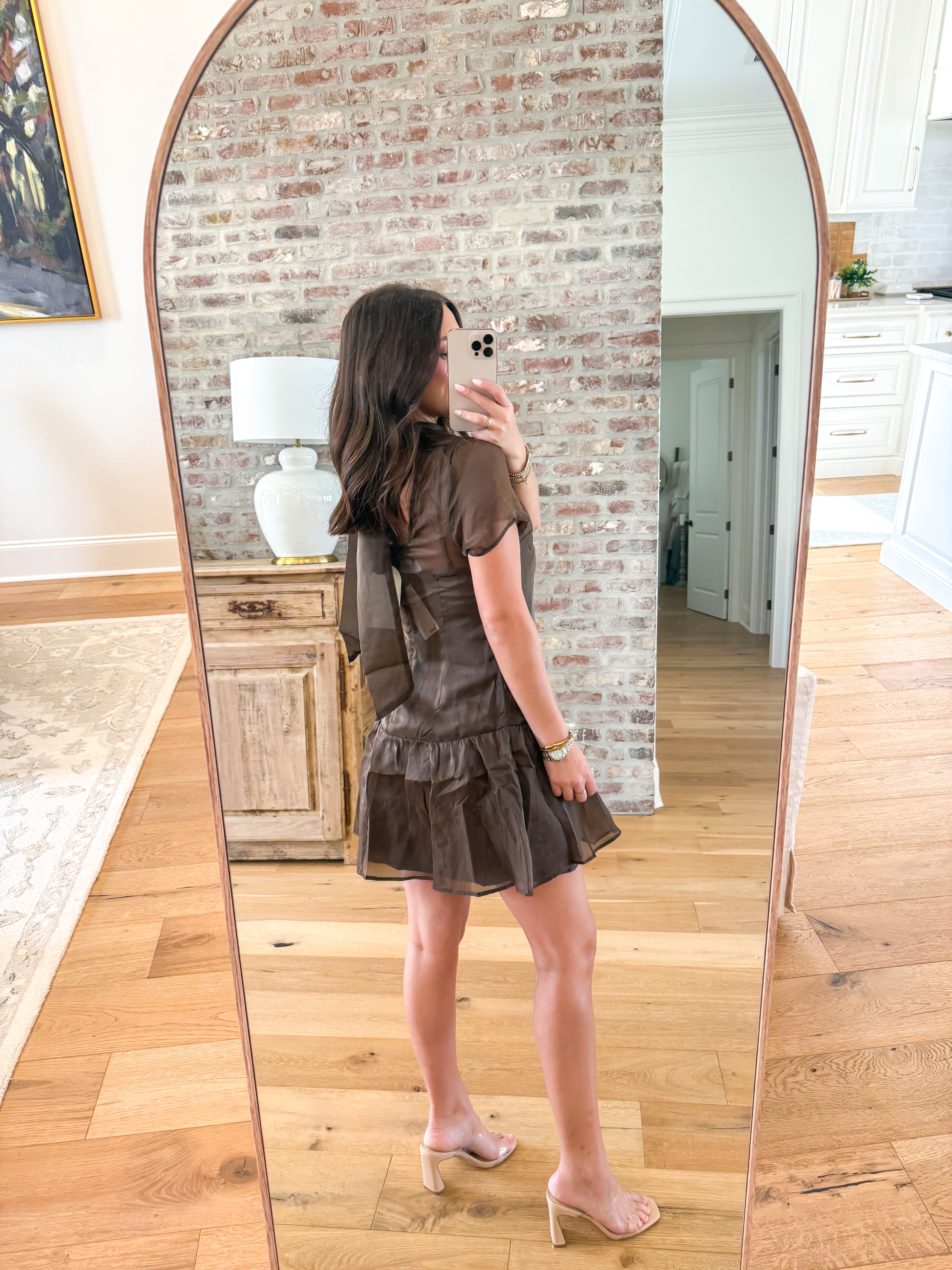Chocolate Organza Mock Neck Mini Dress