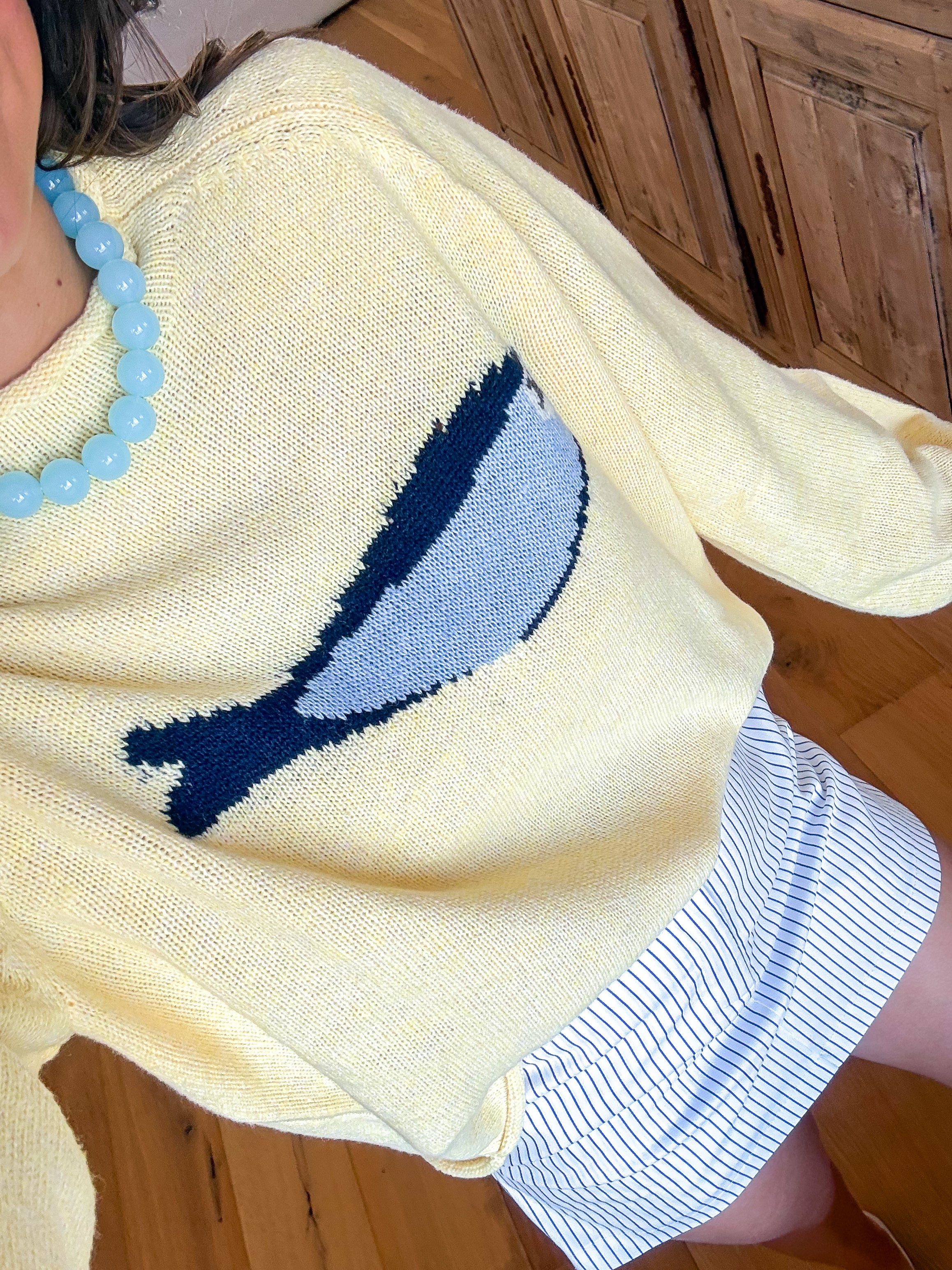 Sardine Butter Yellow Knit Sweater