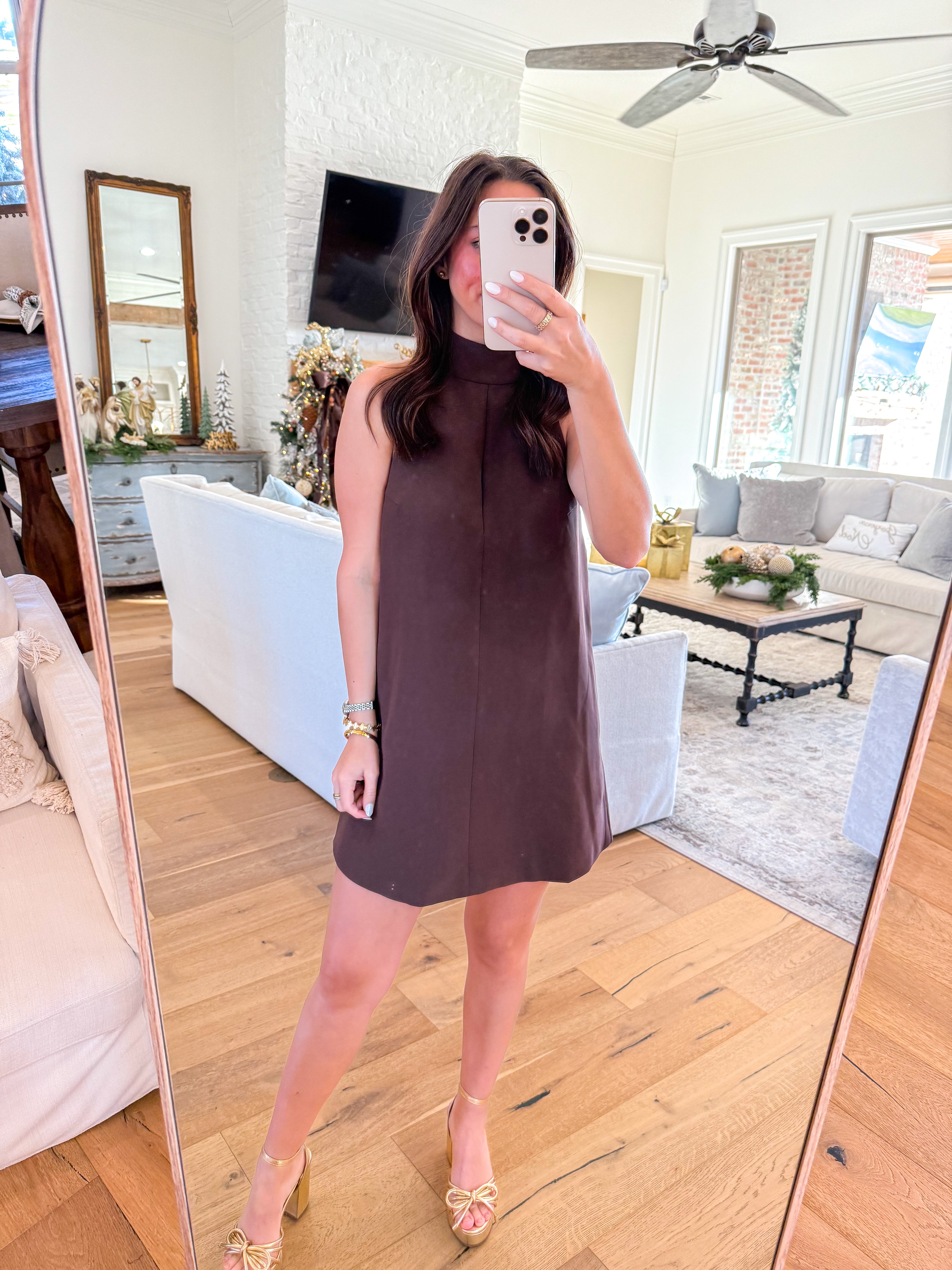 Evra Brown Mini Dress