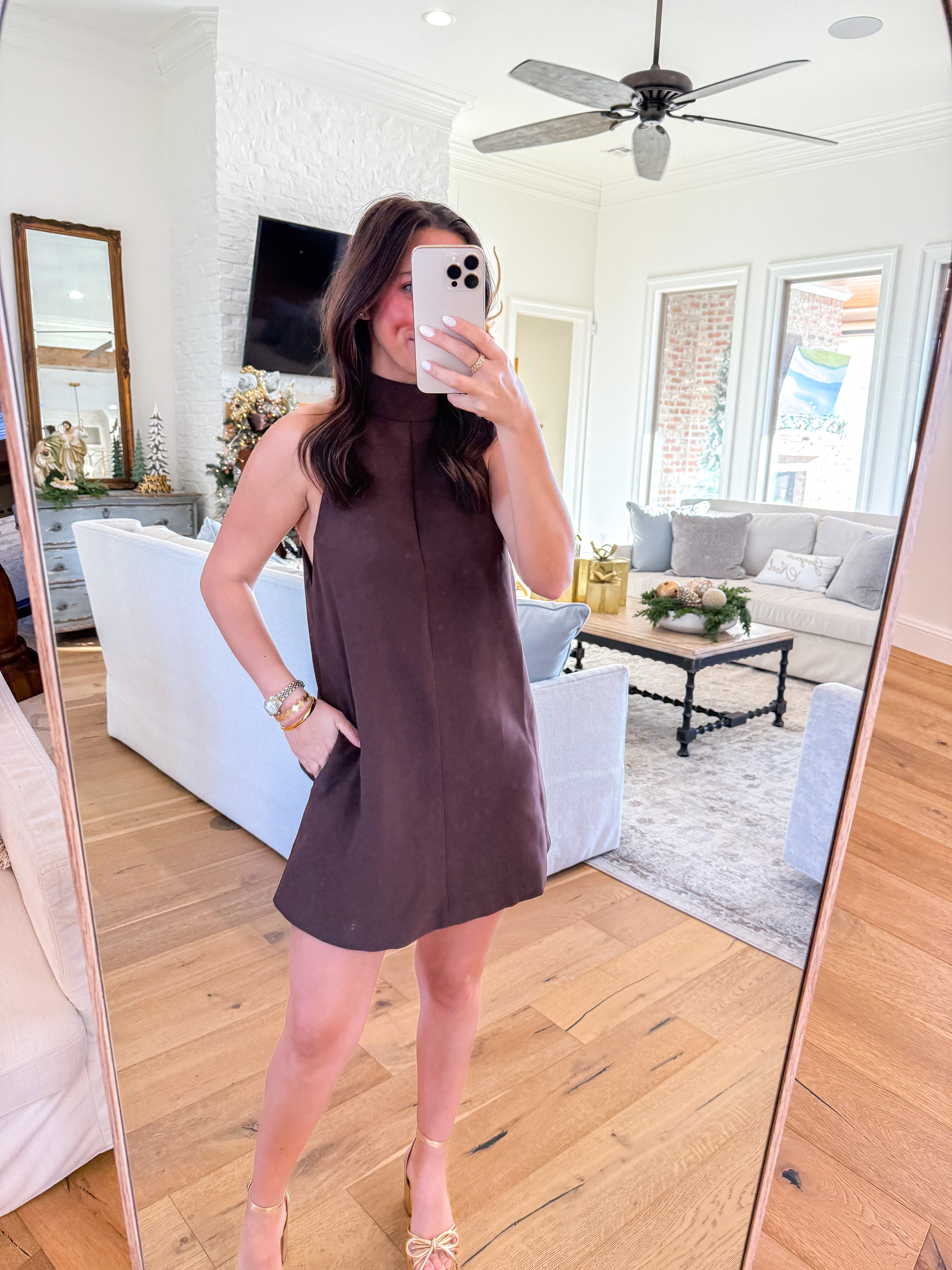 Evra Brown Mini Dress