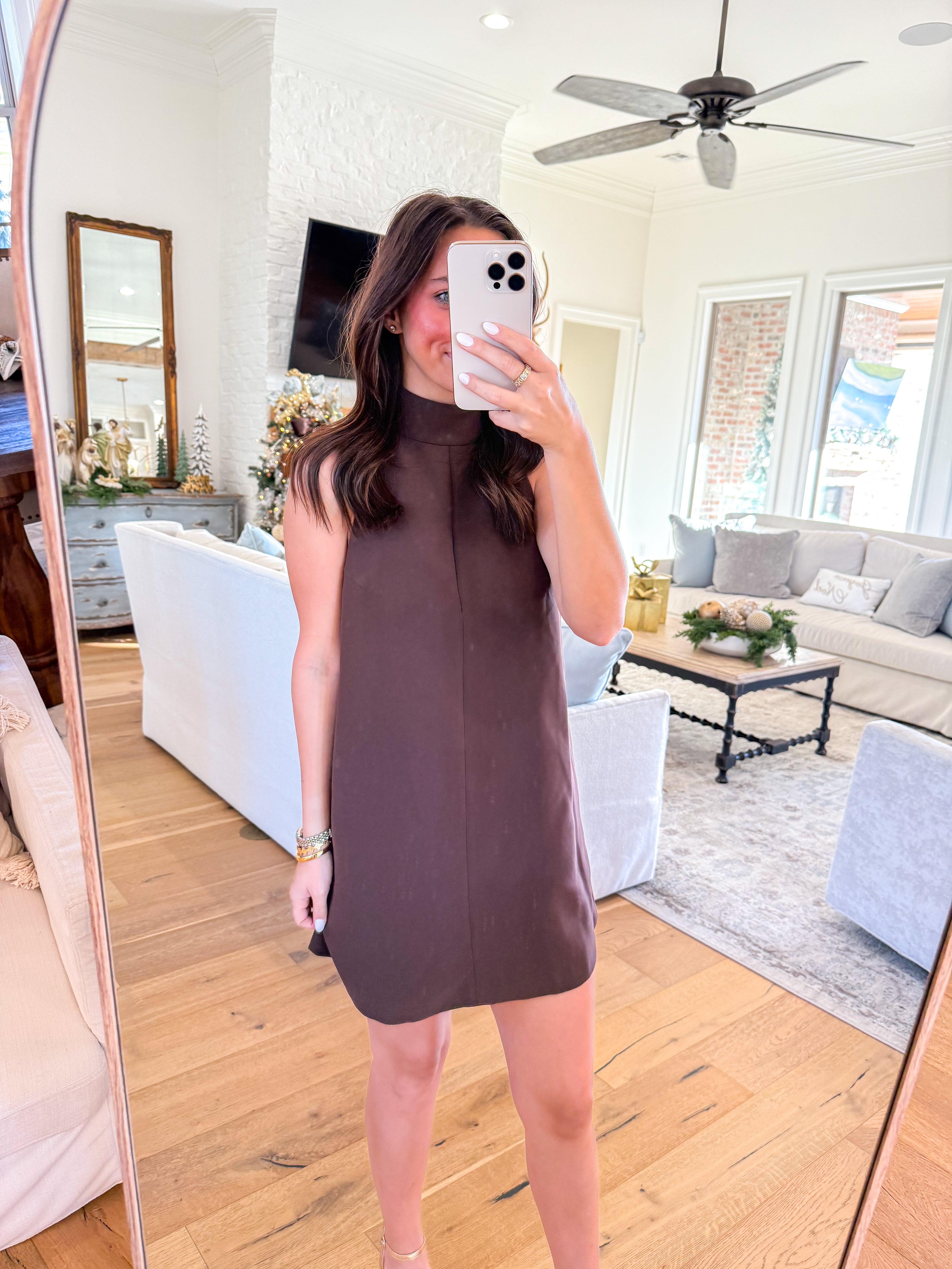 Evra Brown Mini Dress