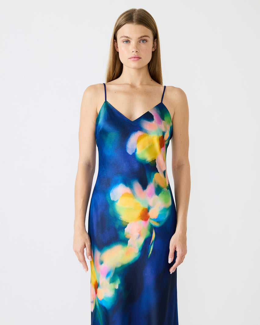 Atara Rosewater Dress